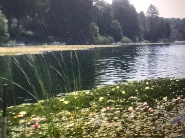 gelateria  Lago Travedona Varese