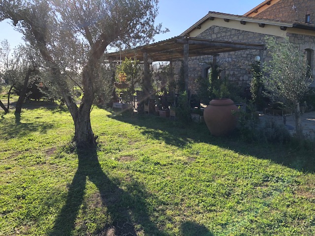 Ristorante Prov. Viterbo Lago Bolsena