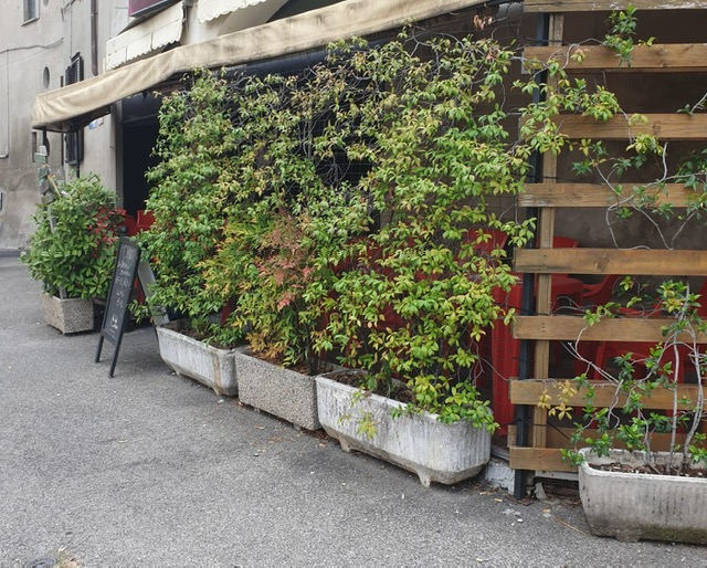 Bar Lentate Sul Seveso MB. 45000