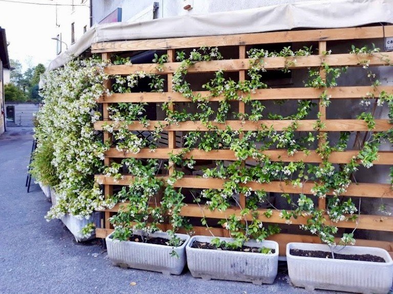 Bar Lentate Sul Seveso MB. 45000