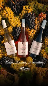 Enoteca con Mescita P.ta Venezia 200000€