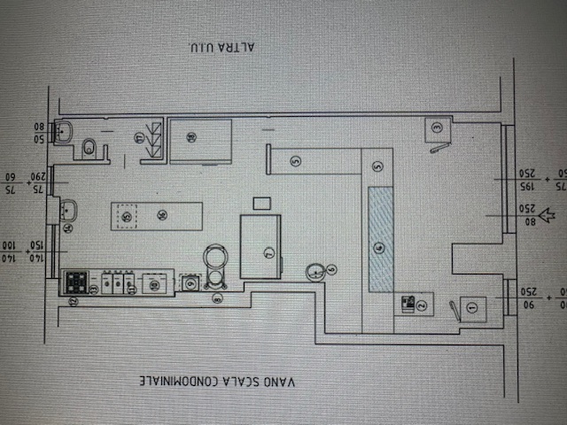 Pizzeria Cologno Monzese 50.000€