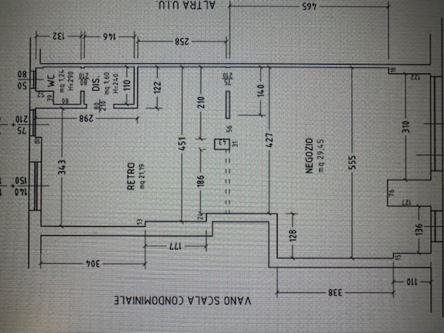 Pizzeria Cologno Monzese 50.000€