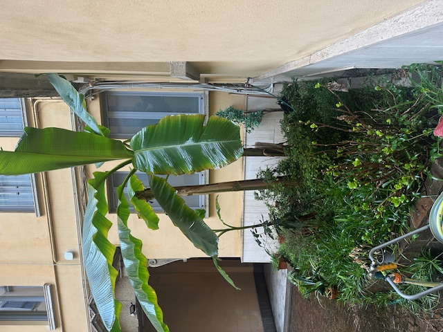 Ufficio/Abitazione tribunale 1.900.000,00